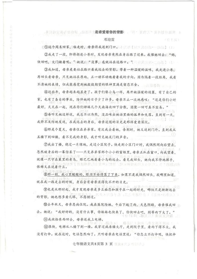 2024～2025学年河南省信阳市平桥区七年级(上)12月第二次质量调研语文试卷(含答案)第3页