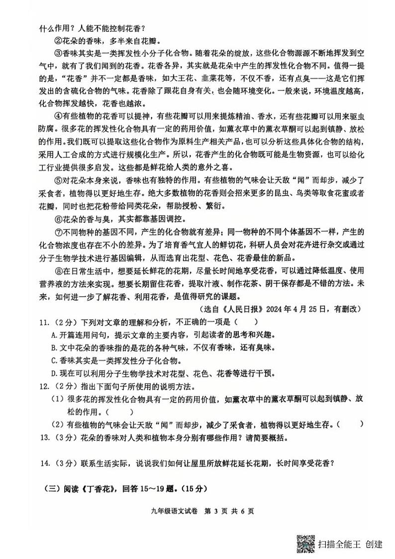 2024～2025学年黑龙江省哈尔滨市双城区九年级(上)12月第三次月考语文试卷(含答案)第3页