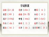 第16课《我的叔叔于勒》课件+2024—2025学年统编版语文九年级上册