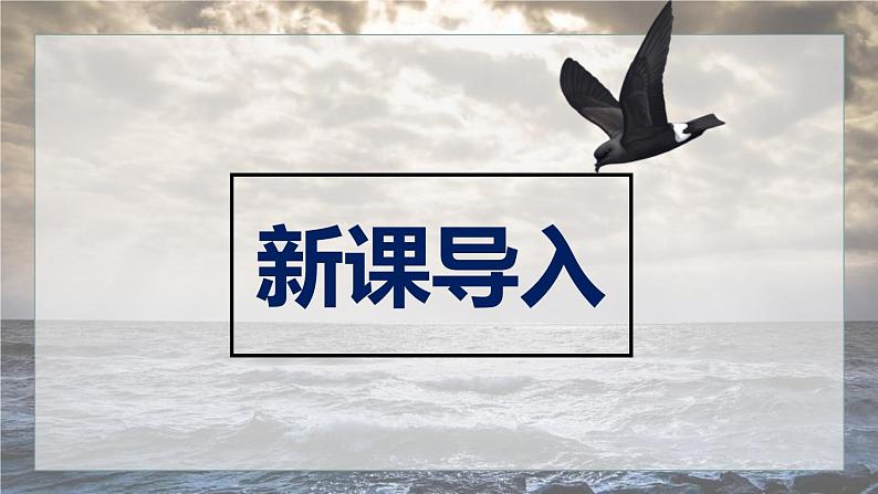 部编版九下语文第4课《海燕》同步课件第2页