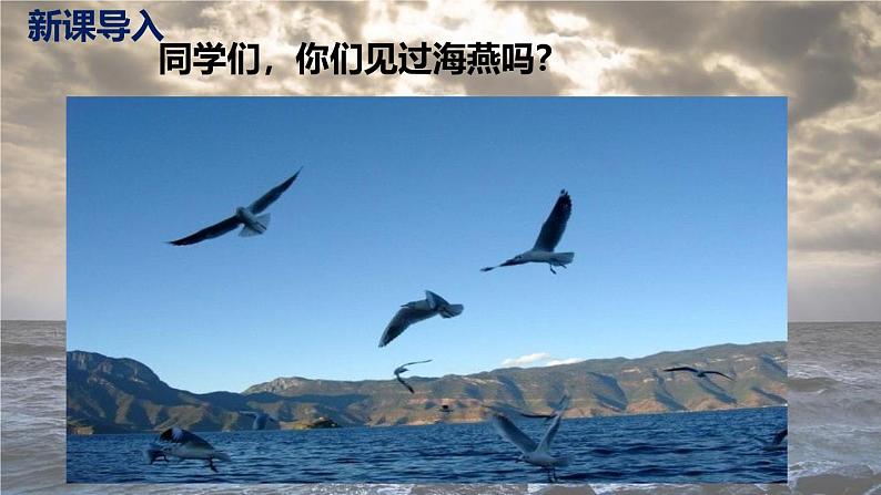 部编版九下语文第4课《海燕》同步课件第3页