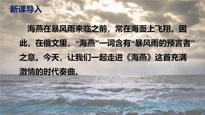 部编版九下语文第4课《海燕》同步课件第4页