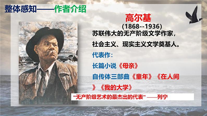 部编版九下语文第4课《海燕》同步课件第7页