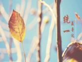 人教部编版初中语文九年级下册 《3.短诗五首-统一》课件+教案