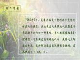 人教部编版初中语文九年级下册 《3.短诗五首-统一》课件+教案