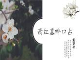 人教部编版初中语文九年级下册 《3.短诗五首-萧红墓畔口占》课件+教案