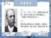 人教部編版初中語文九年級(jí)下冊 《4.海燕》課件+教案