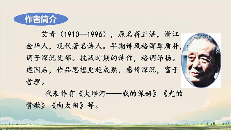 初中语文人教部编版九年级上册 3 我爱这土地  课件第2页