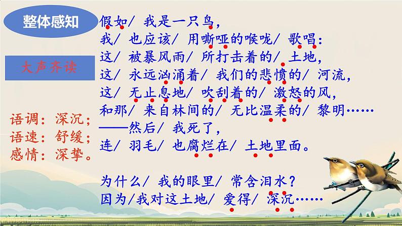 初中语文人教部编版九年级上册 3 我爱这土地  课件第4页