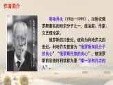 初中语文人教部编版九年级上册 9 论教养 课件