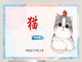 （统编2024版）2024-2025学年七年级语文上册 ：17《猫》 课件