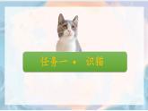 （统编2024版）2024-2025学年七年级语文上册 ：17《猫》 课件