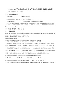 2024-2025学年北京市大兴区七年级上学期期中考试语文试题（含详细答案解析）