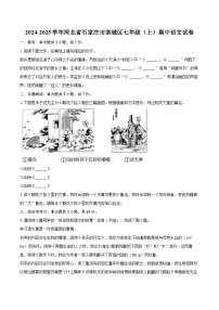 2024-2025学年河北省石家庄市栾城区七年级（上）期中语文试卷（含详细答案解析）