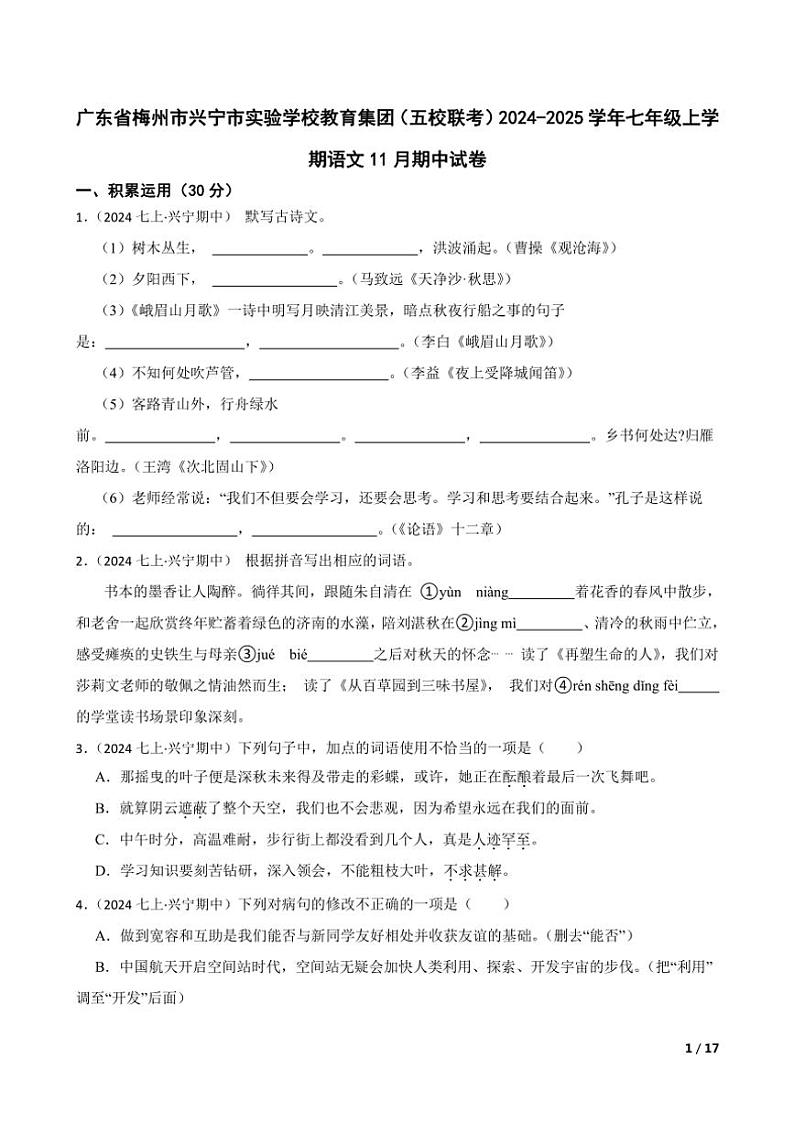 2024～2025学年广东省梅州市兴宁市实验学校教育集团(五校联考)七年级(上)语文期中试卷第1页