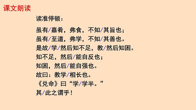 初中语文人教部编版八年级下册 虽有嘉肴 课件第6页