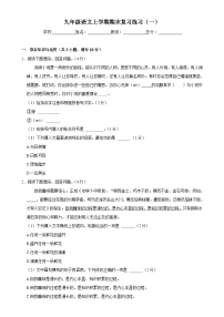 期末复习练习（一）-2024-2025学年统编版语文九年级上册-A4