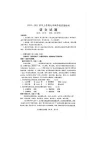 山东省日照市岚山区2024-2025学年九年级上学期11月期中语文试题