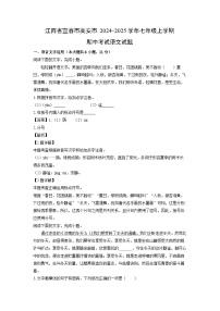 2024-2025学年江西省宜春市高安市七年级(上)期中考试语文试卷(解析版)