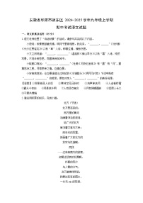 2024-2025学年安徽省阜阳市颍东区九年级(上)期中考试语文试卷(解析版)