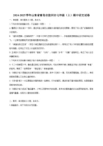2024-2025学年山东省青岛市胶州市七年级（上）期中语文试卷（含详细答案解析）