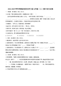 2024-2025学年河南省洛阳市伊川县七年级（上）期中语文试卷（含详细答案解析）