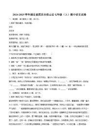 2024-2025学年湖北省武汉市洪山区七年级（上）期中语文试卷（含详细答案解析）