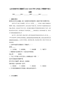山东省德州市天衢新区2024-2025学年七年级上学期期中语文试题