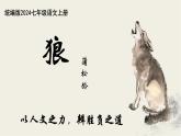 初中语文人教部编版2024七年级上册 20  狼  课件