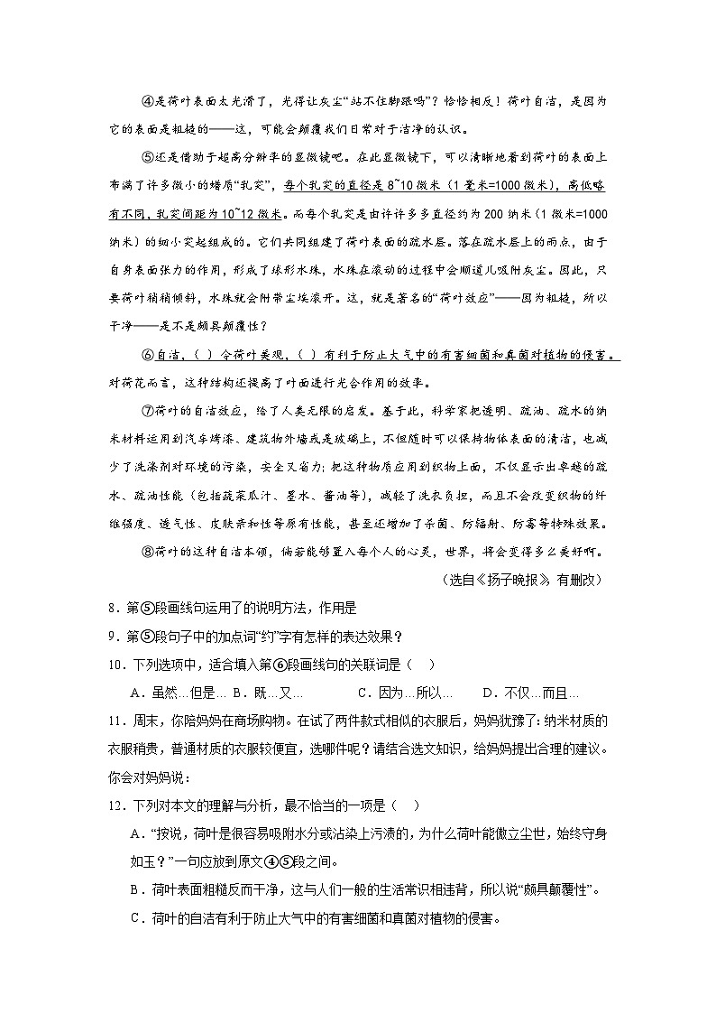 上海市黄浦区2024-2025学年（五四学制）六年级上学期期中语文试题第3页