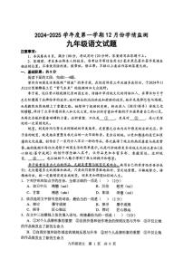 山东省济宁市金乡县2024-2025学年九年级上学期12月月考语文试题