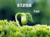 第16课《散文二篇—永久的生命》课件2024—2025学年统编版语文八年级上册