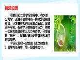 第16课《散文二篇—永久的生命》课件2024—2025学年统编版语文八年级上册
