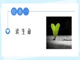 第16课《散文二篇—永久的生命》课件2024—2025学年统编版语文八年级上册