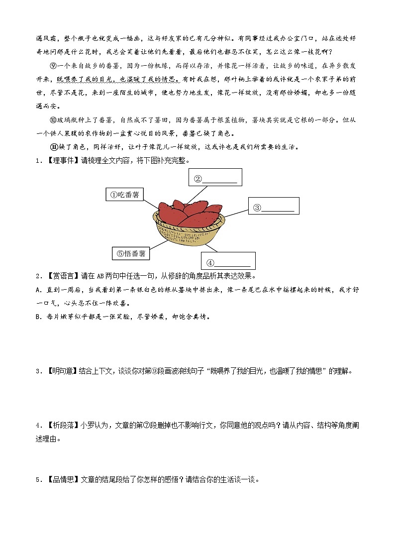专题06 记叙文阅读 （一）【原卷版】七年级语文上册期末真题分类复习 2024-2025学年统编版第2页