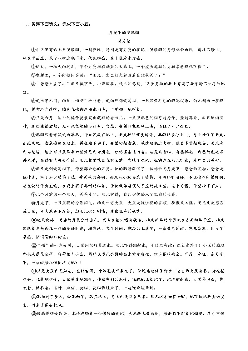 专题06 记叙文阅读 （一）【原卷版】七年级语文上册期末真题分类复习 2024-2025学年统编版第3页