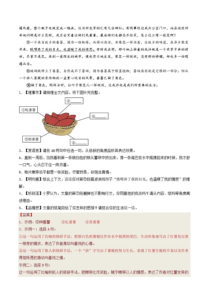 专题06 记叙文阅读 （一）【解释版】七年级语文上册期末真题分类复习 2024-2025学年统编版第2页