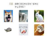 初中语文人教部编版七年级上册 17 猫 课件