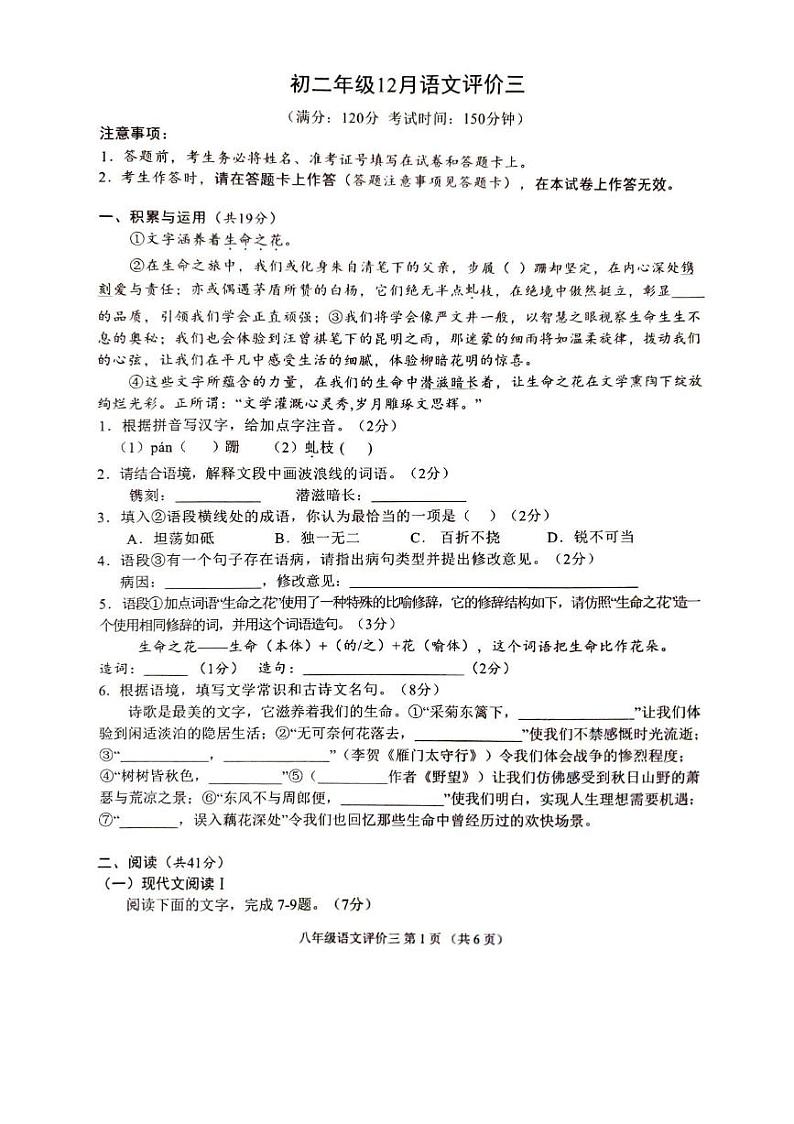 广西南宁市银海三雅学校2024-2025学年八年级上学期12月月考语文试题第1页