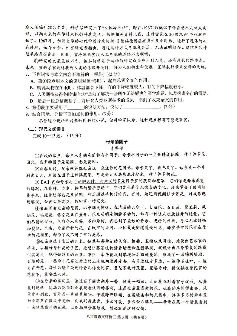 广西南宁市银海三雅学校2024-2025学年八年级上学期12月月考语文试题第3页