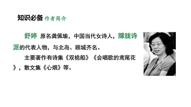 人教部编版（2024）九年级语文下册1祖国啊，我亲爱的祖国课件第6页