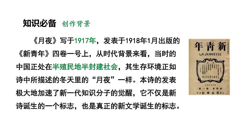 人教部编版（2024）九年级语文下册3.1月夜课件第3页