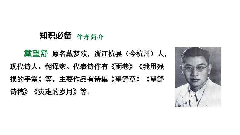 人教部编版（2024）九年级语文下册3.2萧红墓畔口占课件第2页