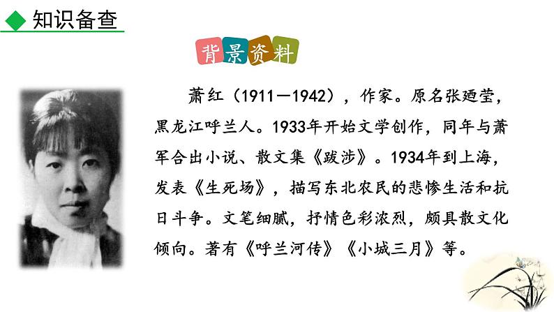 人教部编版（2024）九年级语文下册3.2萧红墓畔口占ppt课件第3页