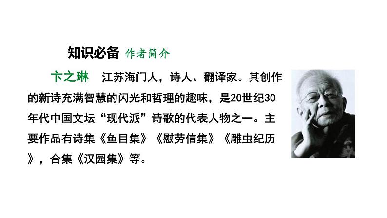 人教部编版（2024）九年级语文下册3.3断章课件第2页