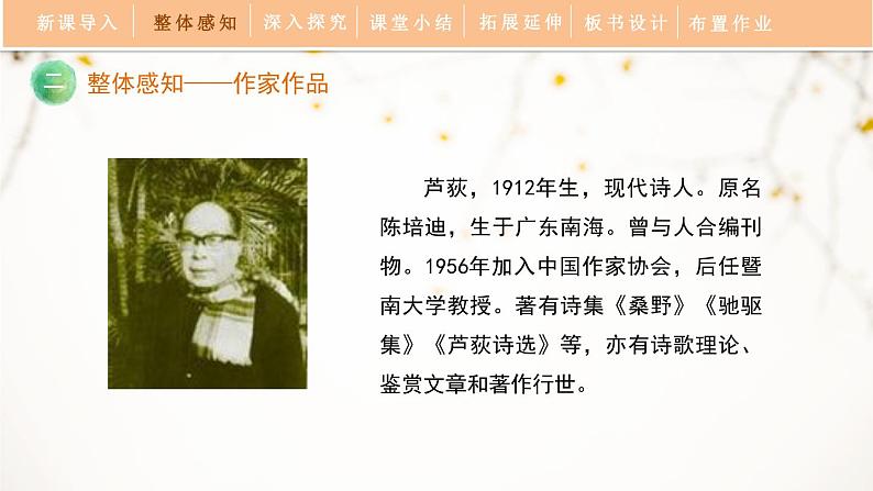 人教部编版（2024）九年级语文下册3.4风雨吟课件ppt第5页