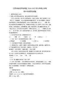 2024-2025年江苏省宿迁市宿城区九年级(上)期中语文试卷(解析版)