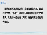 人教部编版（2024）九年级语文下册4海燕精品课件