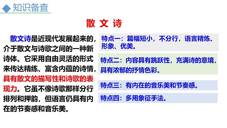 人教部编版（2024）九年级语文下册4海燕精品课件第5页
