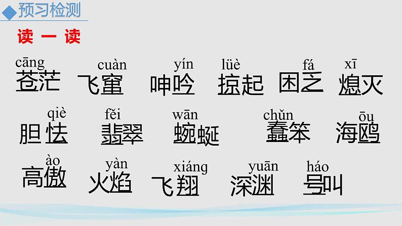 人教部编版（2024）九年级语文下册4海燕精品课件第6页